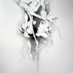 Marina Berdalet - Sèries - apunts i obra del natural -Flor de jacint - Llapis sobre paper - 50 x 70 cm - 2003