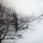 Marina Berdalet - Sèries - apunts i obra del natural - 3 ocells - gravat calcogràfic -40 x 30 cm - 2008