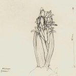 Marina Berdalet - Sèries - Moviments del silenci - Hyacinthus - 8.2.2000 (17 h)