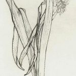Marina Berdalet - Sèries - Moviments del silenci - Hyacinthus - 17.5.2000 (18 h)