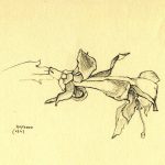 Marina Berdalet - Sèries - Moviments del silenci - Flor de Zygocactus Truncatus - Llapis sobre paper - 2.1.2000 - 23 h