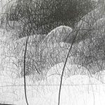 Marina Berdalet - Sèries - Traços i estructures del Gest - Estructura del gest XXX (detall) - Grafit sobre paper - 152 x 114 cm - 2009