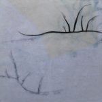 Marina Berdalet - Sèries - Traços i estructures del Gest - Muda - 25 x 25 cm - Llapis sobre paper i vernís - 2014