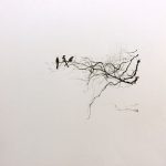 Marina Berdalet - Sèries - Weltanschauung - passejades - 3 ocells I- Llapis grafit sobre paper - 40 x 40 cm - s/d