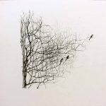 Marina Berdalet - Sèries - Weltanschauung - passejades - 3 ocells IV- Llapis grafit sobre paper - 40 x 40 cm - s/d
