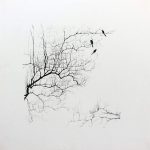 Marina Berdalet - Sèries - Weltanschauung - passejades - 3 ocells V- Llapis grafit sobre paper - 40 x 40 cm - s/d