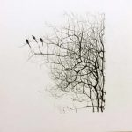 Marina Berdalet - Sèries - Weltanschauung - passejades - 3 ocells II- Llapis grafit sobre paper - 40 x 40 cm - s/d