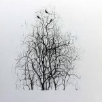 Marina Berdalet - Sèries - Weltanschauung - passejades - 3 ocells III- Llapis grafit sobre paper - 40 x 40 cm - s/d