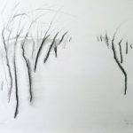 Marina Berdalet - Sèries -Weltanschauung - Passejades - tinta xinesa sobre paper - 40 x 30 cm - 2012
