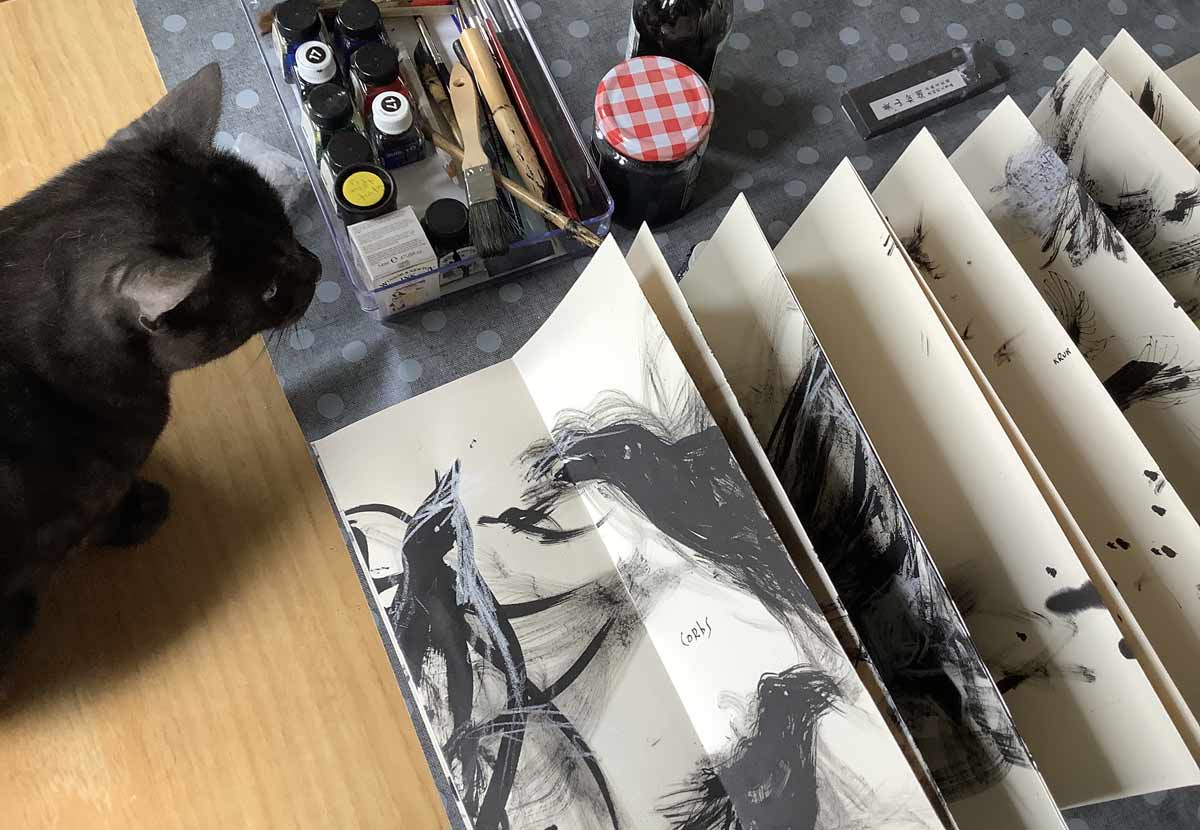 Marina Berdalet - Ara mateix estic treballant en … - CZARNY KRUK – CORB NEGRE
Nou llibre art amb la supervisió de la meva gata Piula: Czarny kruk – Corb negre. Tinta xinesa sobre paper acordió.