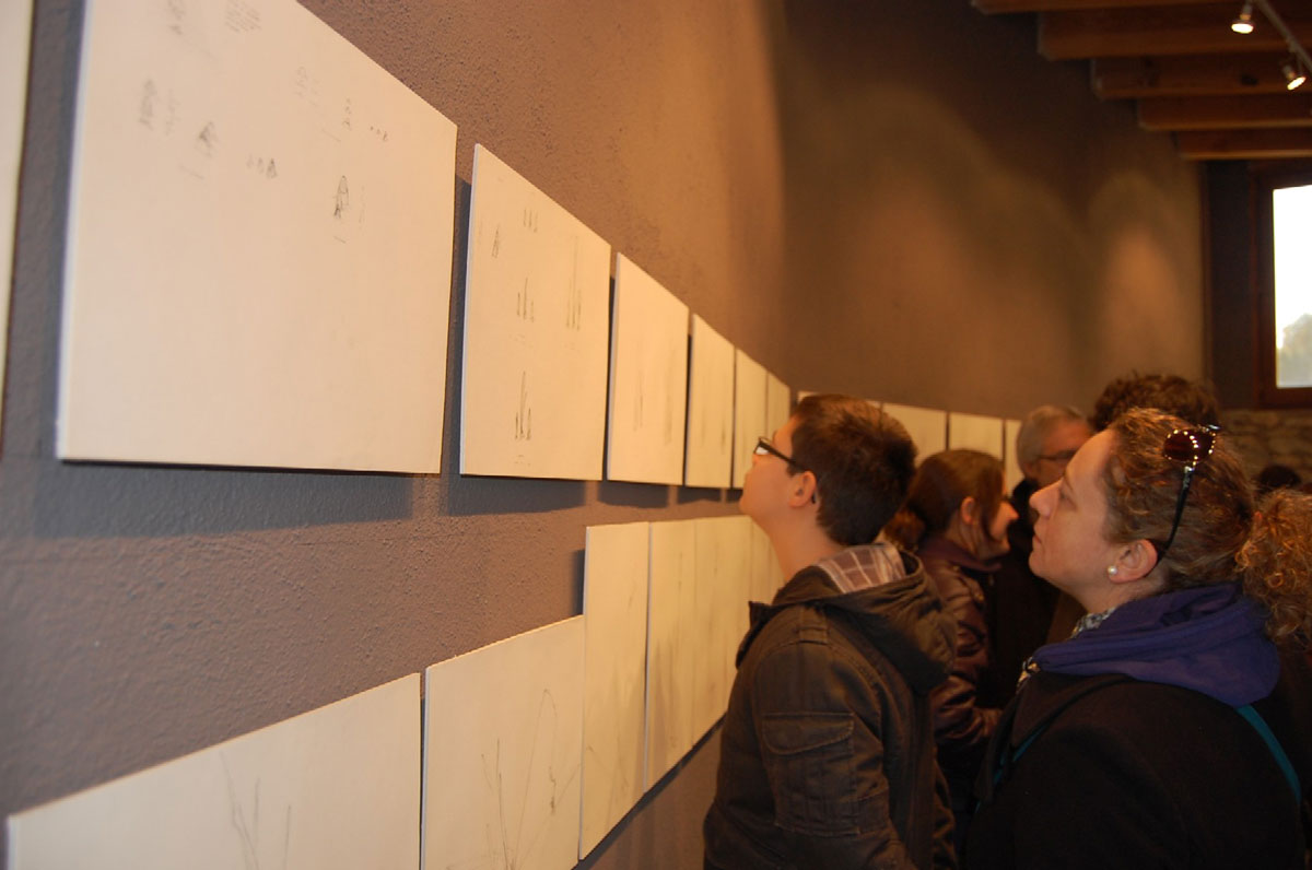 Marina Berdalet - Exposicions - Inauguració Llapis sobre paper al Cacis, 2013. Públic observant dibuixos de creixement d’un narcís. Sèrie Moviments del Silenci