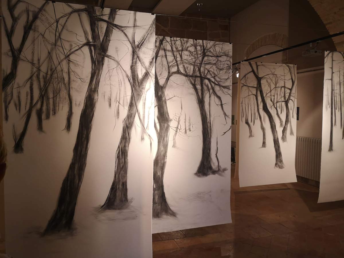 Marina Berdalet - Exposicions - Fotografia Instal·lació Respira l’arbre, Consell Comarcal, Solsonès, 2023. Festival Espurnes Barroques