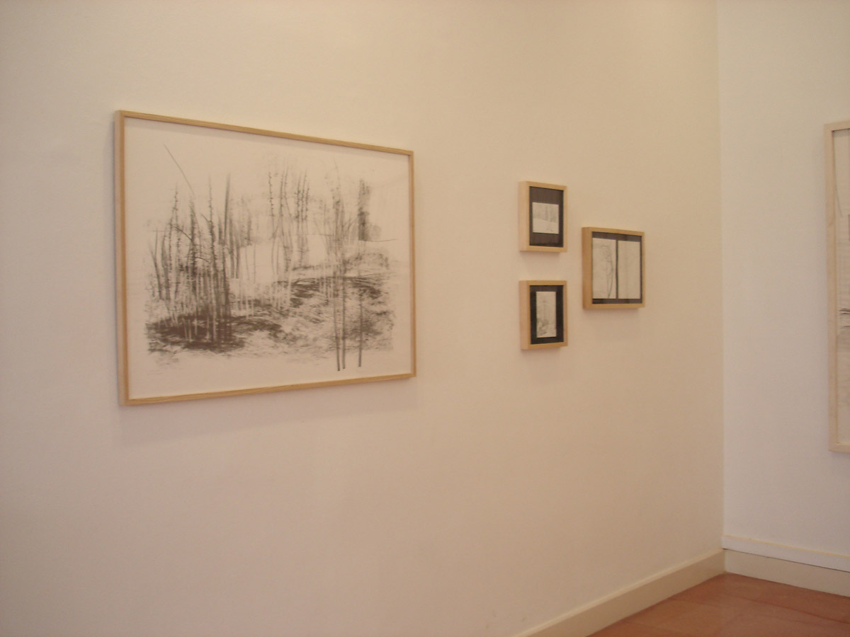 Marina Berdalet - Exposicions - Traços del gest - Alliança Francesa - Sabadell - 2008 - fotografia d’una sala