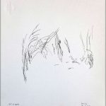 Marina Berdalet - Sèries - Weltanschauung - Passejades - dibuixos a cegues - sense mirar el paper després de fer passeig - bolígraf sobre paper - 20 x 20 cm - 2016